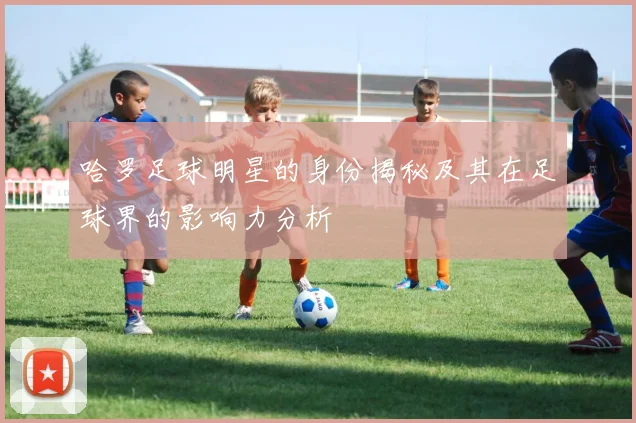 哈罗足球明星的身份揭秘及其在足球界的影响力分析