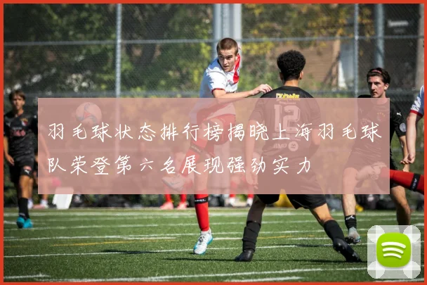 羽毛球状态排行榜揭晓上海羽毛球队荣登第六名展现强劲实力