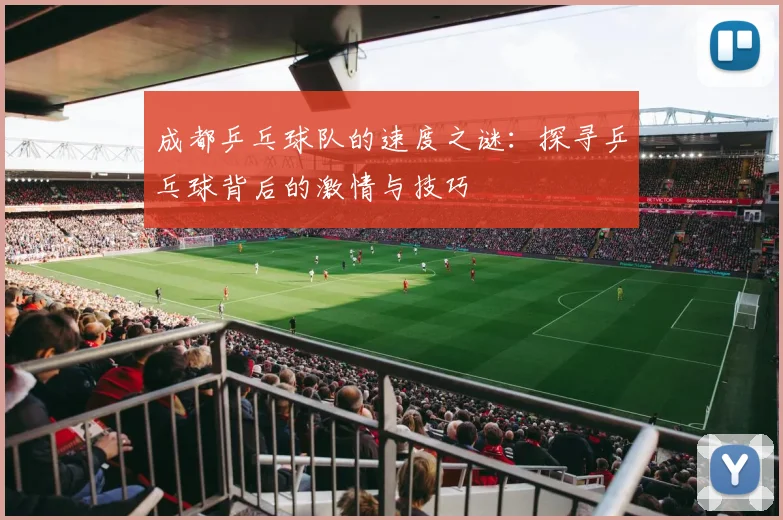 成都乒乓球队的速度之谜：探寻乒乓球背后的激情与技巧