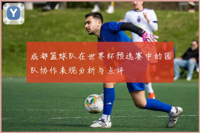 成都篮球队在世界杯预选赛中的团队协作表现分析与点评