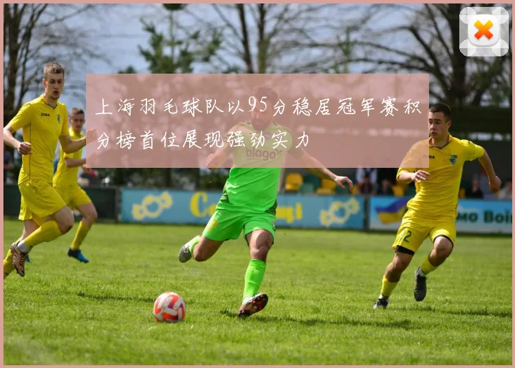 上海羽毛球队以95分稳居冠军赛积分榜首位展现强劲实力