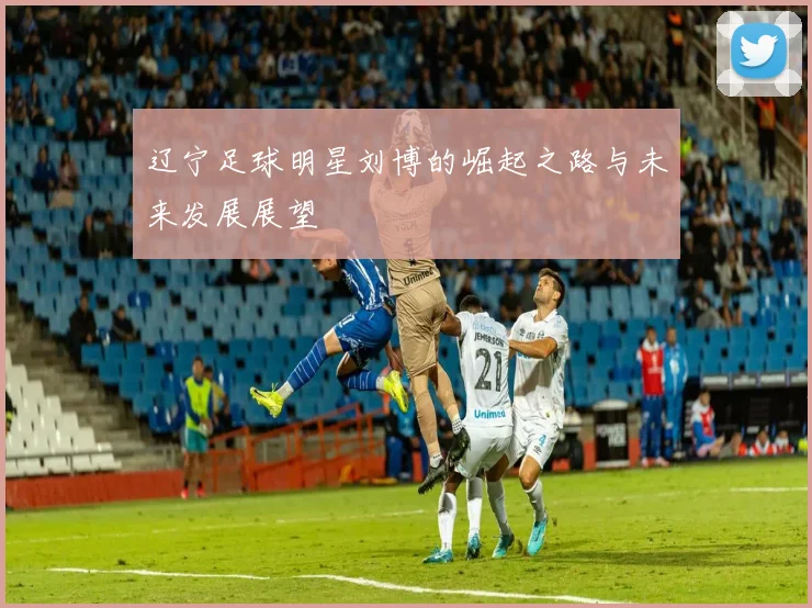 辽宁足球明星刘博的崛起之路与未来发展展望
