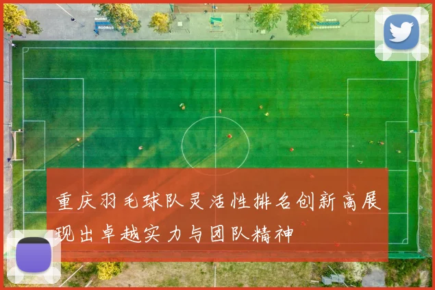 重庆羽毛球队灵活性排名创新高展现出卓越实力与团队精神