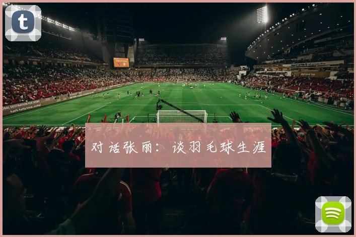 对话张丽：谈羽毛球生涯