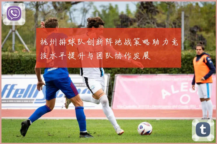 杭州排球队创新阵地战策略助力竞技水平提升与团队协作发展