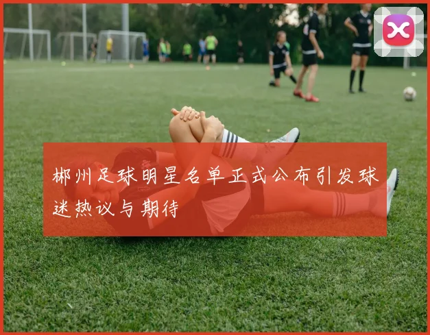 郴州足球明星名单正式公布引发球迷热议与期待
