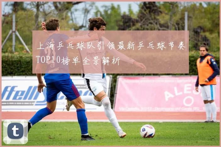 上海乒乓球队引领最新乒乓球节奏TOP10榜单全景解析