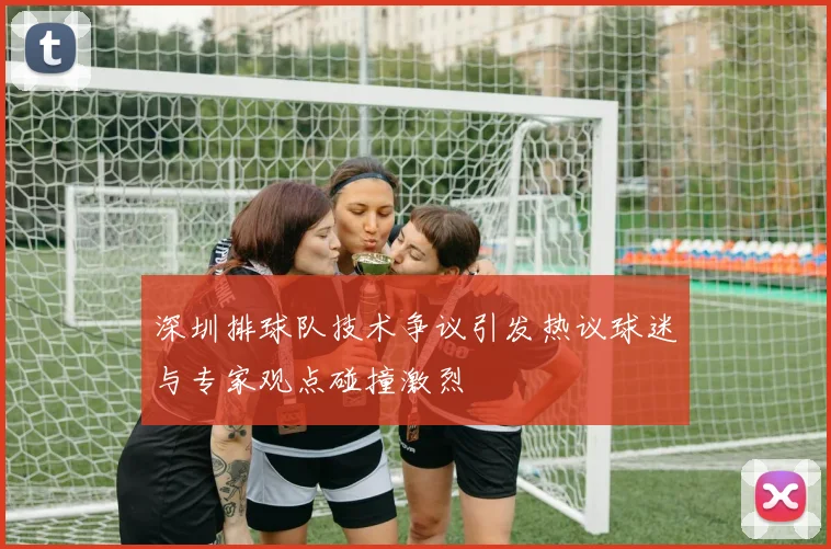 深圳排球队技术争议引发热议球迷与专家观点碰撞激烈