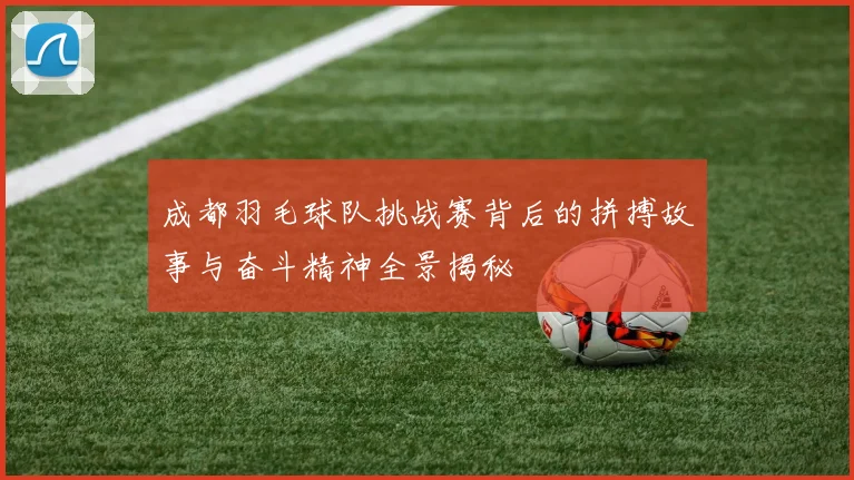 成都羽毛球队挑战赛背后的拼搏故事与奋斗精神全景揭秘