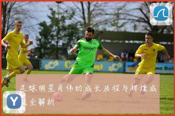 足球明星肖伟的成长历程与辉煌成就全解析