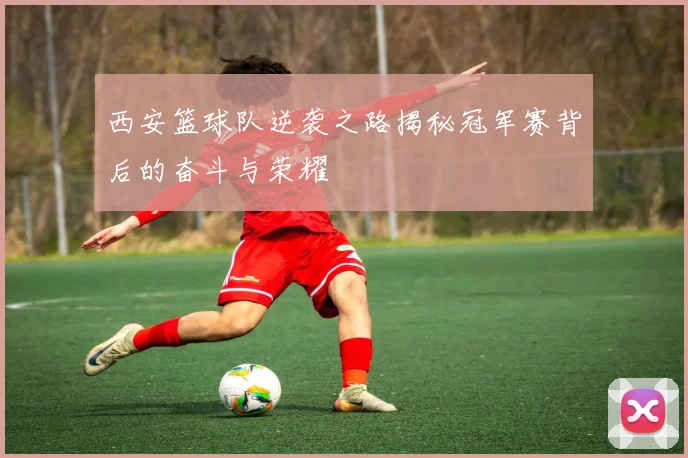 西安篮球队逆袭之路揭秘冠军赛背后的奋斗与荣耀