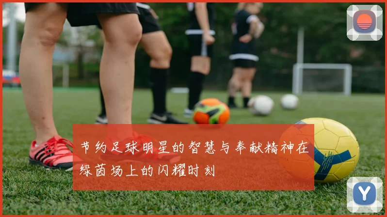 节约足球明星的智慧与奉献精神在绿茵场上的闪耀时刻