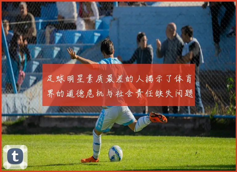 足球明星素质最差的人揭示了体育界的道德危机与社会责任缺失问题