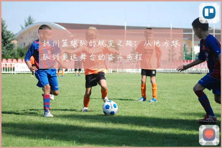 杭州篮球队的蜕变之路：从地方球队到奥运舞台的奋斗历程