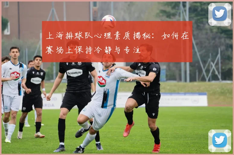 上海排球队心理素质揭秘：如何在赛场上保持冷静与专注