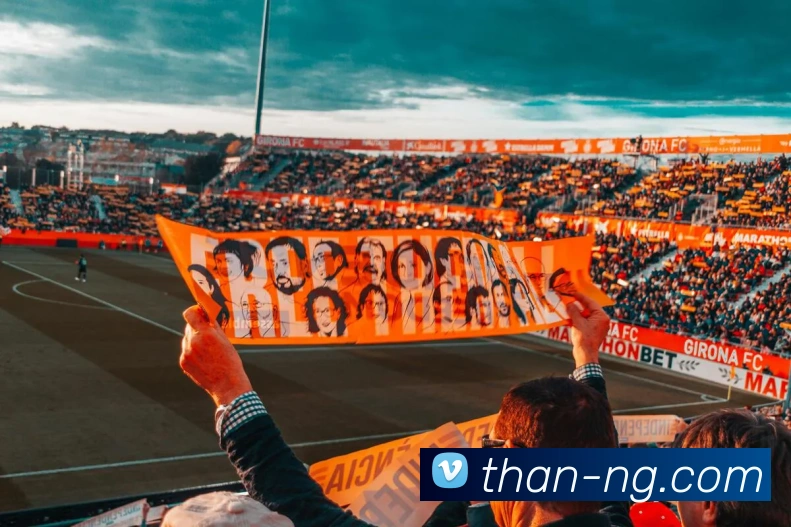 NG体育平台生态图